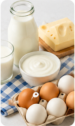 dairy+egg